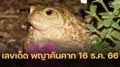 เลขเด็ด พญาคันคาก 16 12 66
