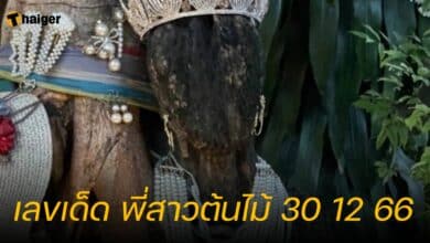 เลขเด็ด พี่สาวต้นไม้ 30 12 66