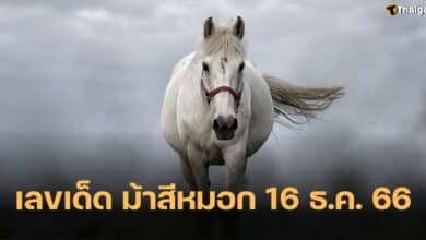 เลขเด็ด ม้าสีหมอก 16 12 66