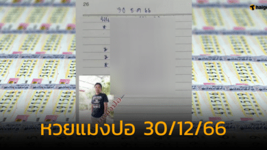 เลขเด็ด หวยแมงปอ 30 12 66