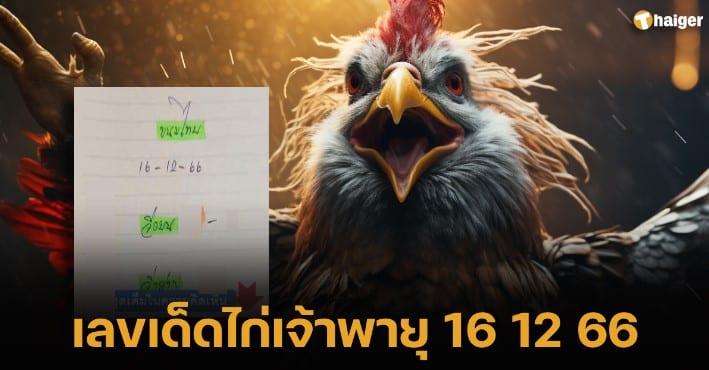 เลขเด็ด ไก่เจ้าพายุ 16 12 66