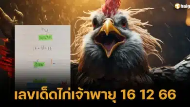 เลขเด็ดไก่เจ้าพายุ 16 12 66