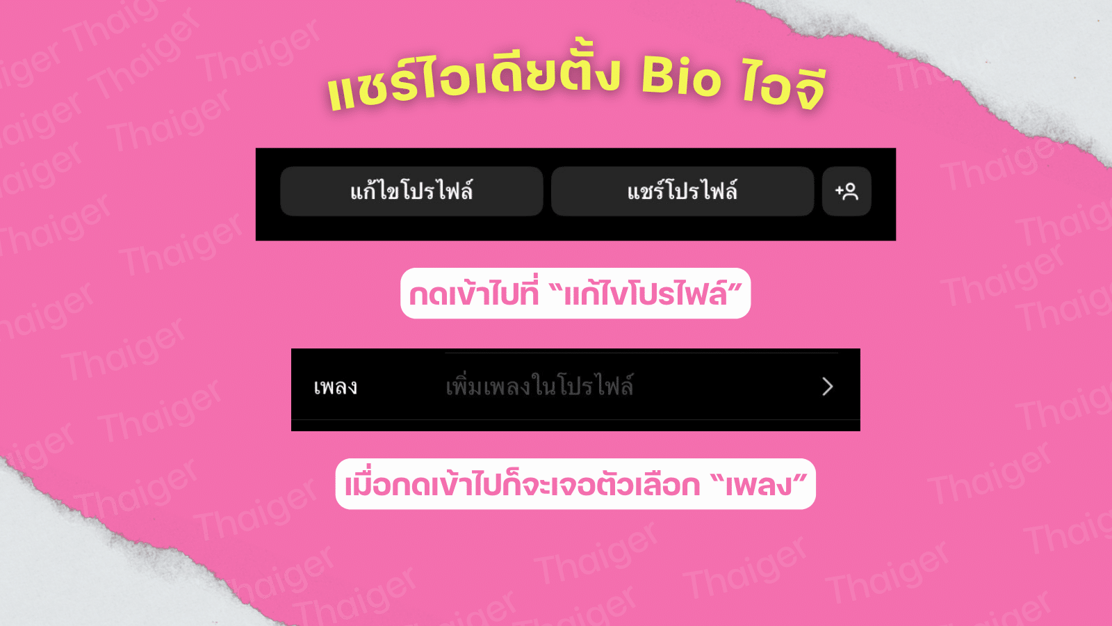 แชร์ไอเดียตั้ง Bio ไอจี