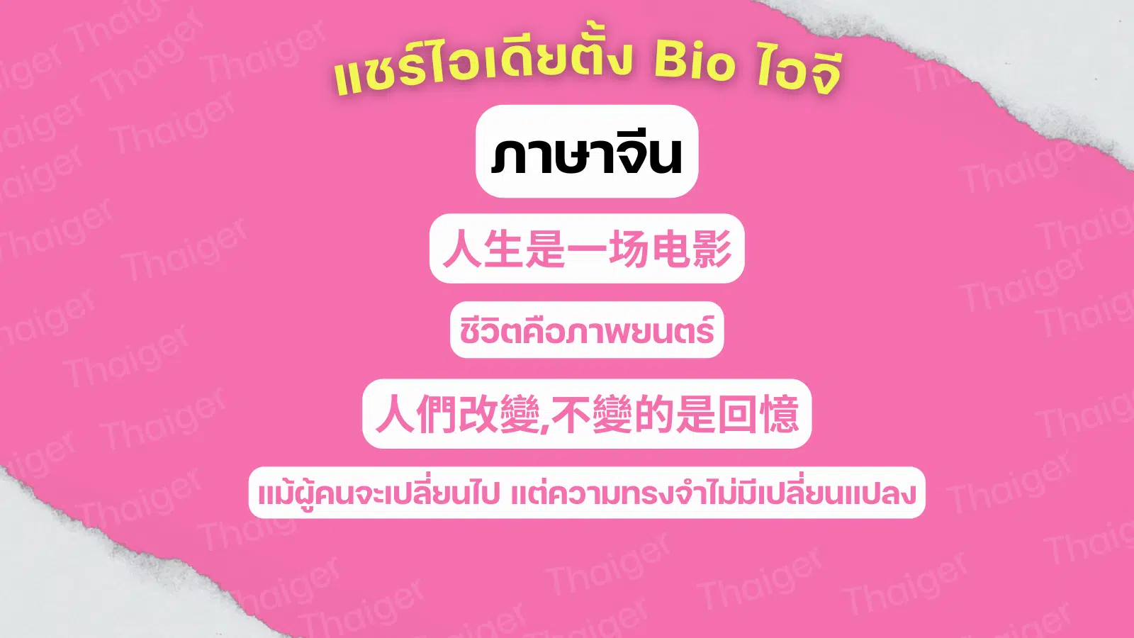 แชร์ไอเดียตั้ง Bio ไอจี