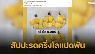 แม่ค้าขาย 'สัปปะรดภูแล' ครึ่งโลแปดพัน ทัวร์ลงสนั่น ก่อนรู้เฉลยอายแทบแทรกแผ่นดิน