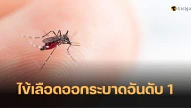 โรคระบาดยอดฮิต 2566