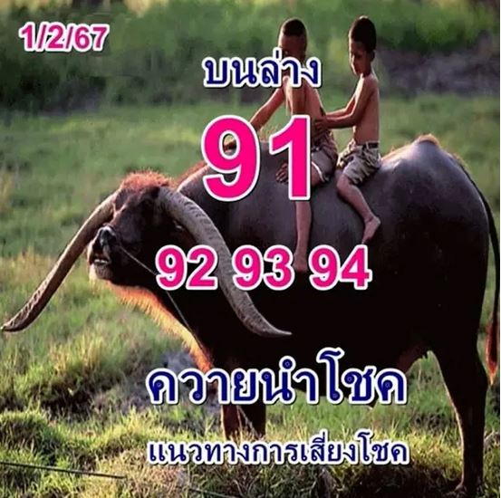 หวยควายนำโชค 1 2 67