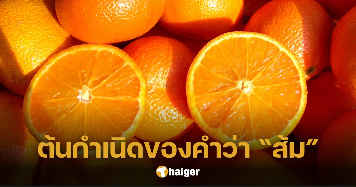 เฉลยที่มา 