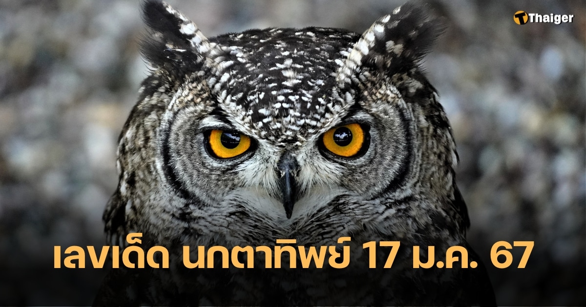 เบิกเนตร นกตาทิพย์ 17 ม.ค. 67 แนวทางเลขเด็ดงวดนี้ มอบโชคจุก ๆ | Thaiger ข่าวไทย