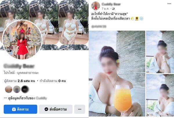 Cuddly Bear ข่าวโปรโมตเว็บพนันออนไลน์