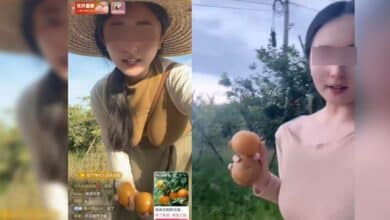 chinese-oranges-seller