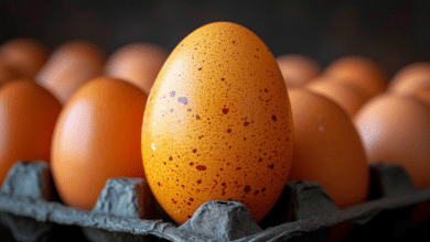 วิธีเก็บไข่ไก่ที่ถูกต้อง