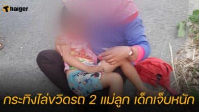 กระทิงไล่ขวิดรถ 2 แม่ลูก วังน้ำเขียว