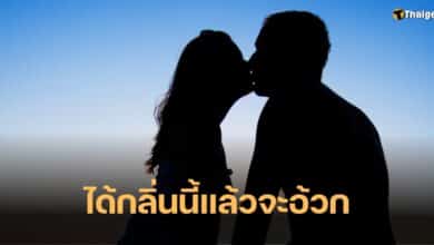 กลิ่นแก่