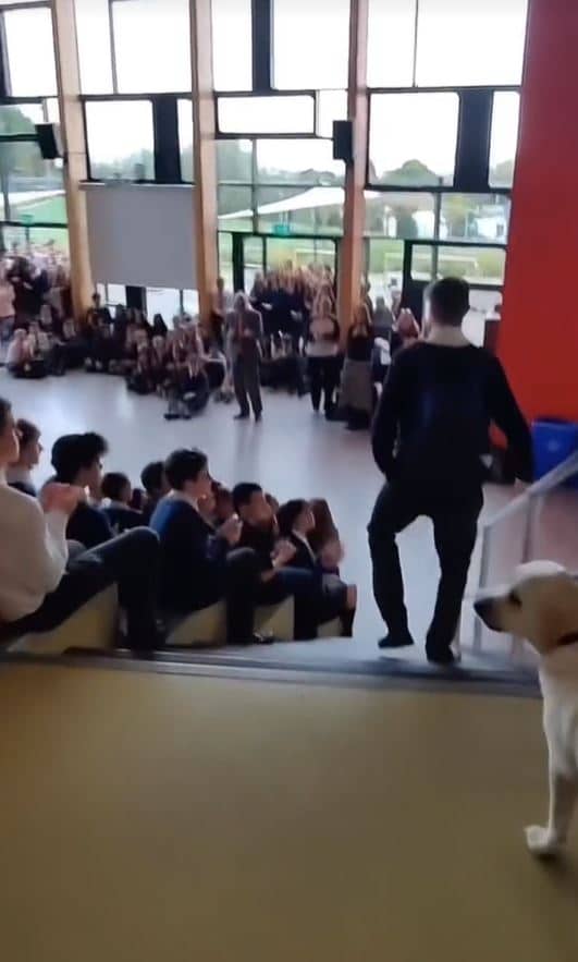 ข่าวนักมวยไอริช