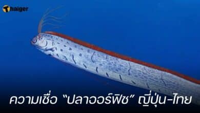 ภาพจาก naturalworldfacts.com