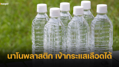 งานวิจัย พบ นาโนพลาสติกในขวดน้ำดื่ม มีมากถึง 2.4 แสนชิ้น ซึมเข้ากระแสเลือดได้