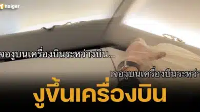 งูขึ้นเครื่องบิน 2567