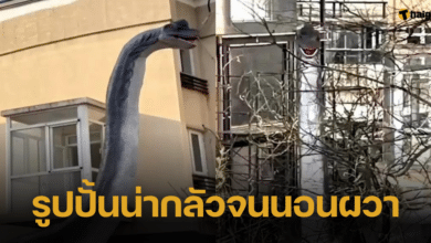 ชาวเน็ตโวย เพื่อนบ้านตั้งรูปปั้นไดโนเสาร์สูง 15 เมตร หน้าตาสมจริง ทำผวาหนักทุกคืน