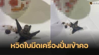 ตู้เต่าบิน ใบมีดเครื่องปั่น