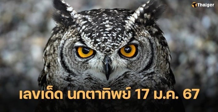 นกตาทิพย์ 17 1 67