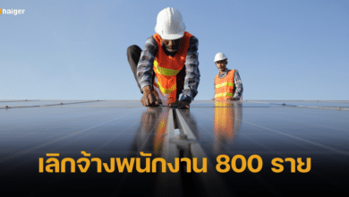 บริษัทดังผลิตโซล่าเซลล์ เลิกจ้างพนักงาน 800 ราย เหตุแบกค่าใช้จ่ายไม่ไหว