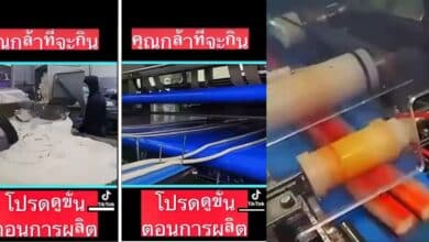 ปูอัดทำมาจากเนื้อปลา