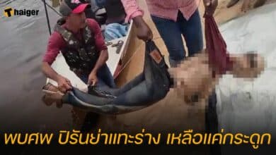 พบศพ ปิรันย่าแทะร่าง เหลือแค่กระดูก
