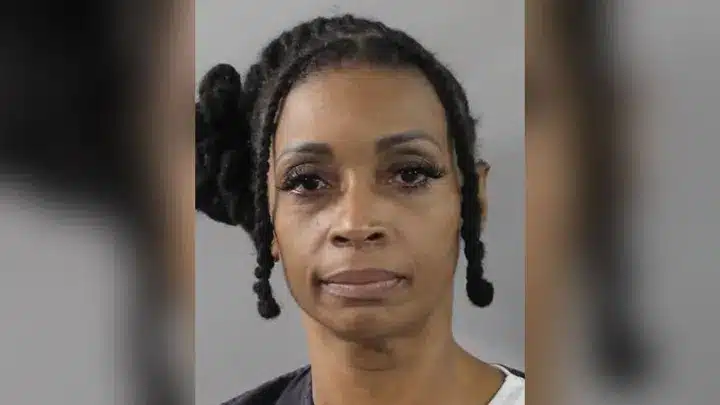 พยาบาลฟลอริดาวางยาแมว