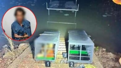 วรุตม์ เดชภูมี