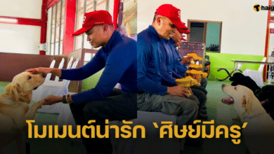 สีสันวันครู 'สุนัขตำรวจ' มอบพานไหว้ครูฝึก K-9 ชาวเน็ตเอ็นดูหนักมาก