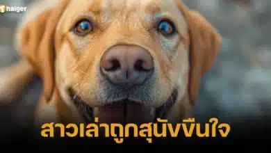 สุนัขขืนใจเจ้าของสาว