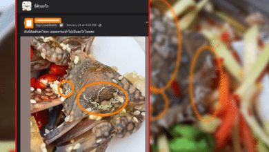 หนอนท่อ ประโยชน์