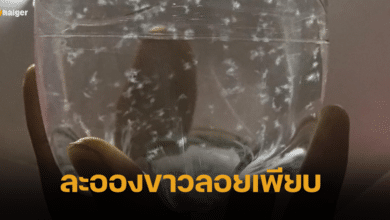 หนุ่มสงสัย กดน้ำตู้หยอดเหรียญ ทิ้งไว้ 1 คืน ละอองขาวลอยเพียบ ชาวเน็ตให้คำตอบแล้ว