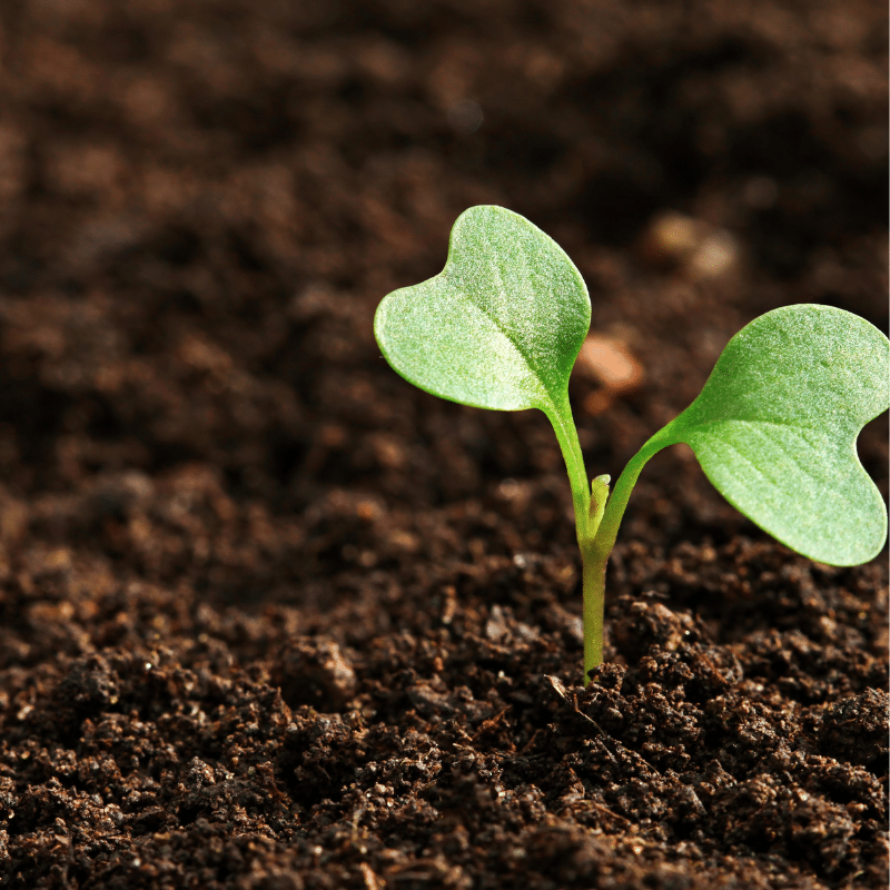 หนุ่มแรงงานไทย แชร์ประสบการณ์