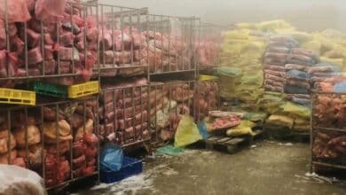 หมูเถื่อน มาจากไหน