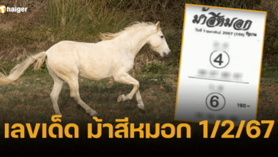 หวยม้าสีหมอก 1 2 67