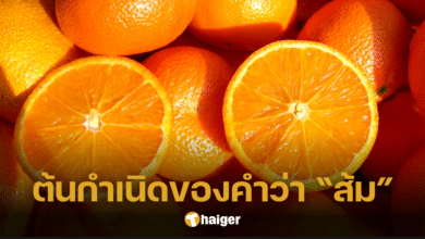 เฉลย "ผลไม้ชื่อส้ม" หรือ "สีส้ม" อะไรเกิดก่อน
