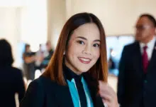 พิธา เพื่อไทย