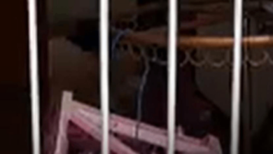 เด็กหญิง 4 ขวบ ถูกทิ้งไว้ในบ้าน