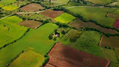 สปก 4-01 เปลี่ยนเป็นโฉนด