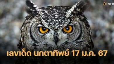 เลขเด็ด นกตาทิพย์ 17 1 67