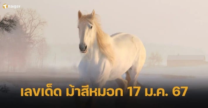 เลขเด็ด ม้าสีหมอก 17 1 67
