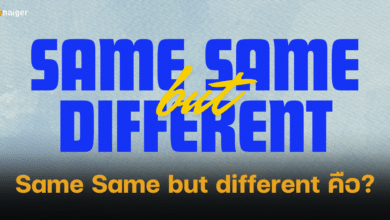 แปลสำนวน Same Same but different