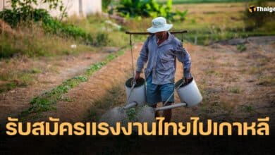 แรงงานไทยทำงานที่เกาหลี