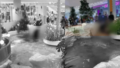 โดดห้างบางแค