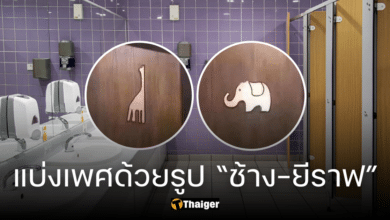 ใครต้นคิด ป้ายติดห้องน้ำรูป ช้าง-ยีราฟ ใช้แทนเพศชาย-หญิง สรุปต้องเข้าห้องไหน?