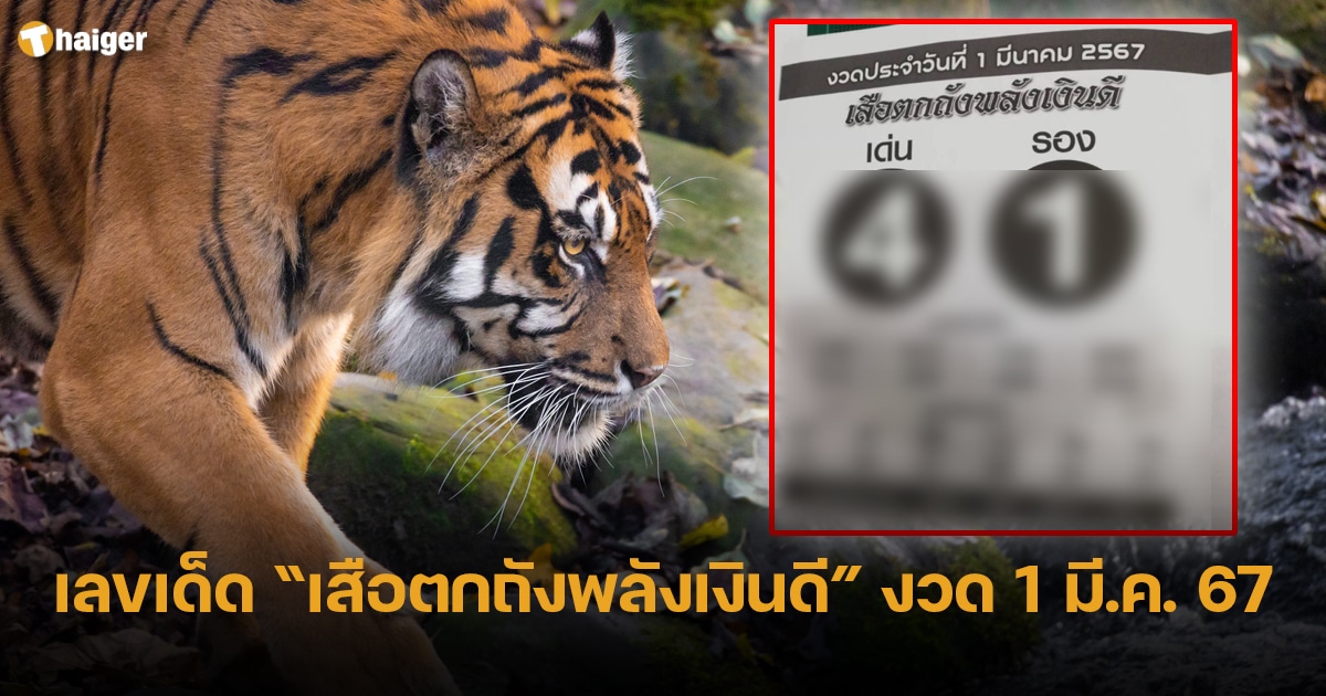 เปิดเลขเด็ด เสือตกถัง งวด 1 มี.ค. 67 ร่ำรวย ให้โชค เงินหล่นทับ | Thaiger ข่าวไทย