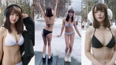 snowdance-taiwan-idol