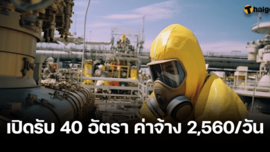 กรมการจัดหางาน ประกาศหาคนทำงาน 40 อัตรา